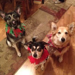 Meet your Posher, Sue